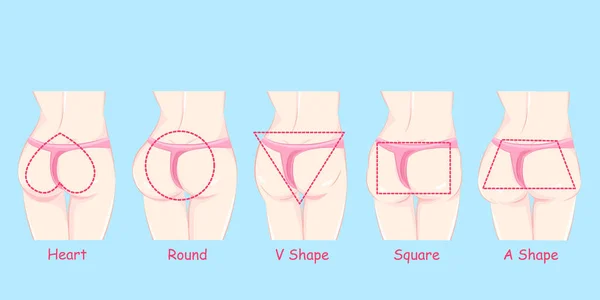 Forme de cul différente — Image vectorielle