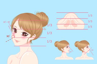 mükemmel yüz oranlarını olan kadın