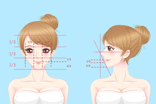 Mujer con proporciones faciales perfectas — Vector de stock