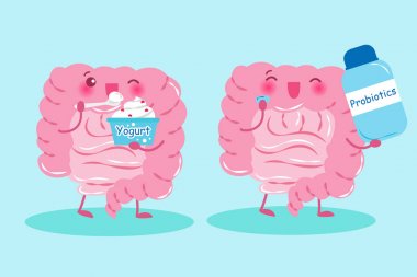 bağırsak sağlık kavramı ile