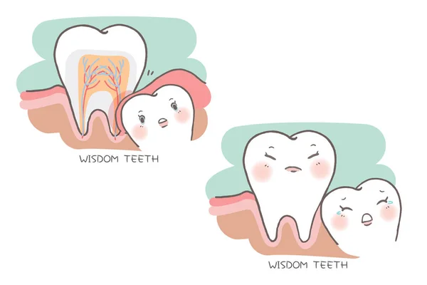 Cute cartoon wisdom teeth — Stock Vector