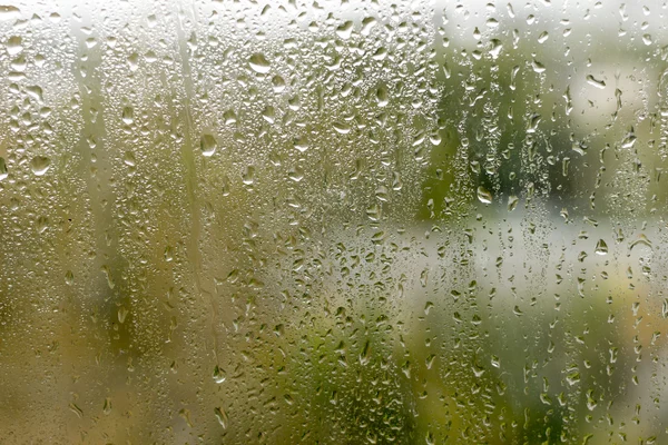 Yağmurlu bir gün. Pencere camına su damlaları.