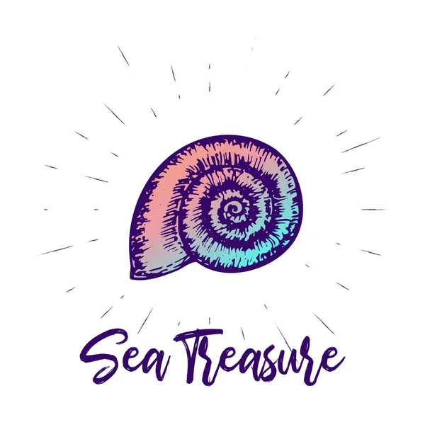 Seashell dan desain vektor lettering. Cetakan tangan musim panas makhluk laut  . Stok Vektor Bebas Royalti