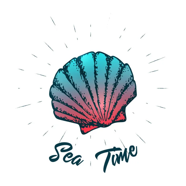 Seashell dan desain vektor lettering. Cetakan tangan musim panas makhluk laut  . Stok Ilustrasi Bebas Royalti