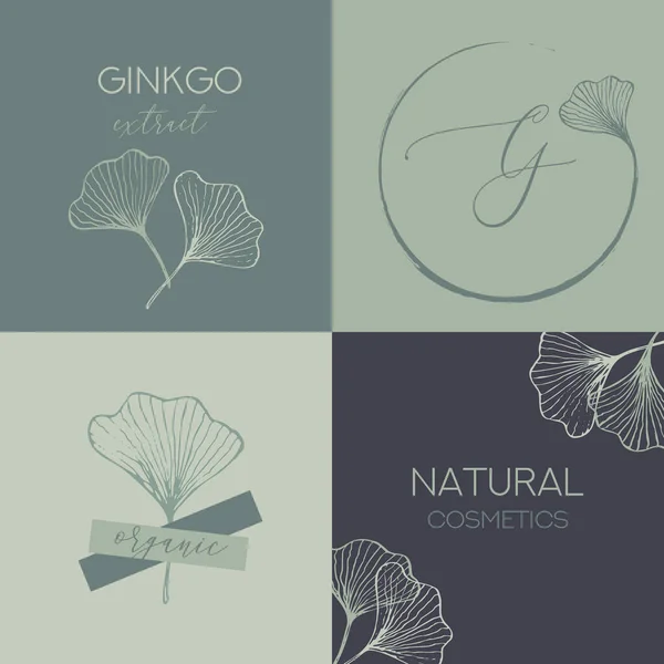 Organik Doğal Sıfır Atık Ginkgo Biloba Yaprak Kozmetik Paket Şablonu. Minimal Plant Yeşillik Etiketi veya Etiket Tasarımı. Vektör İllüstrasyonu.