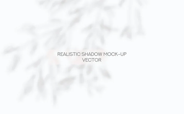 Finestra e albero foglie ombre sovrapposizione Mockup — Vettoriale Stock