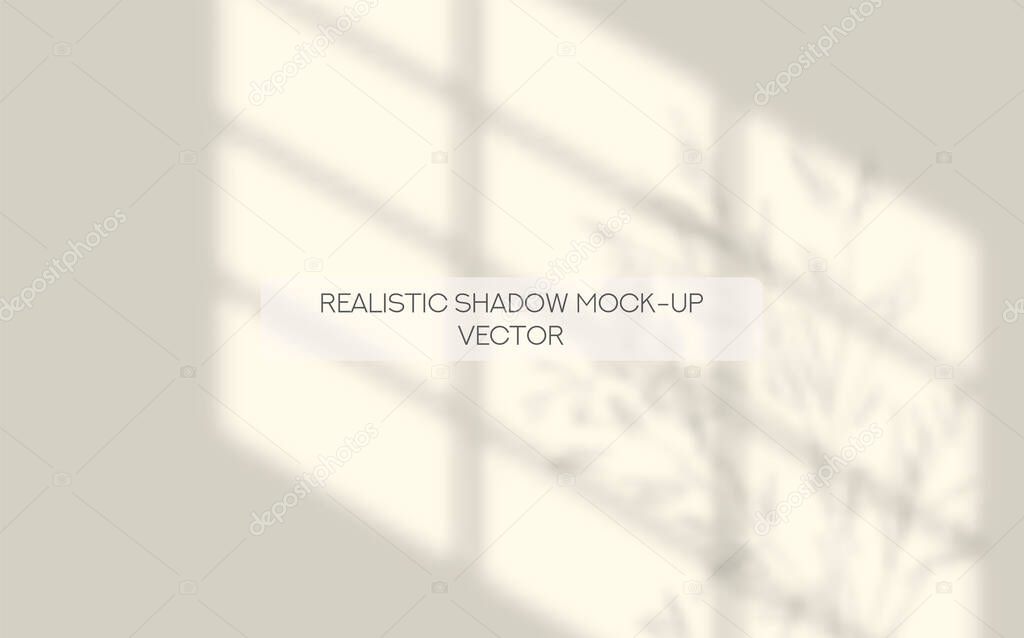 Window and Tree Leaves Shadows Overlay Mockup