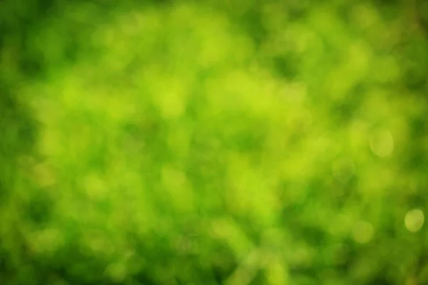 Fondo abstracto bokeh verde brillante — Foto de Stock