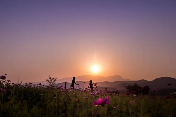 Sunset or sunrise scenery with female on bicycle