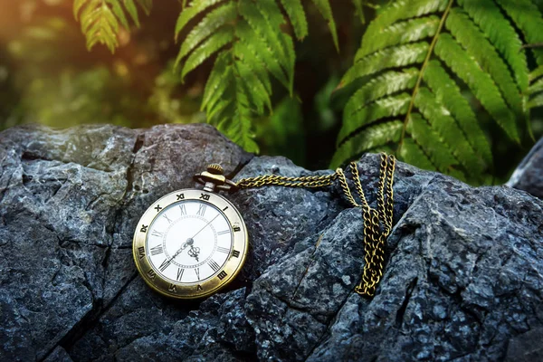 Conceito de tempo, relógio de bolso dourado vintage na floresta tropical — Fotografia de Stock