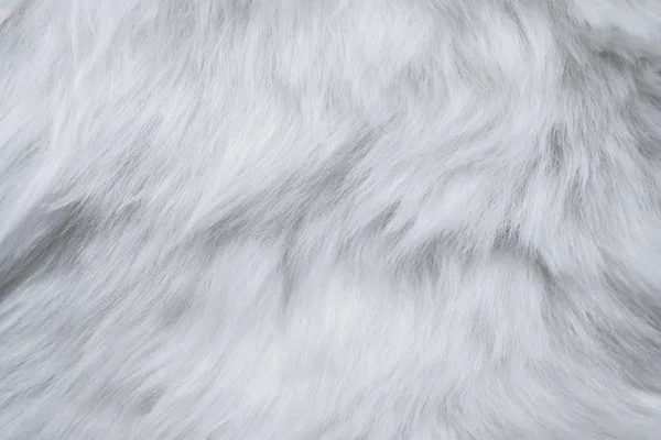 Closeup of White Fur Texture. Smooth Fluffy and Silky Background — Stock Photo, Image