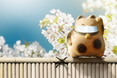 Japonya 'daki Covid-19 Virüs Durumu. Maneki Neko ya da Maskeli Kedi. Sağlık sorunları, turizm üzerinde etkisi. Arka plan olarak Beyaz Kiraz Çiçeği