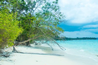 neil Adası'nda sitapur beach