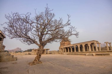 Taş savaş arabası Vijaya Vithala Tapınağı ana ilgi alanı Hampi, Karnataka, Hindistan