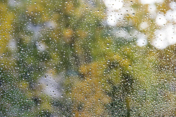 La lluvia cae en la ventana de otoño después de una fuerte lluvia. Día soleado — Foto de Stock