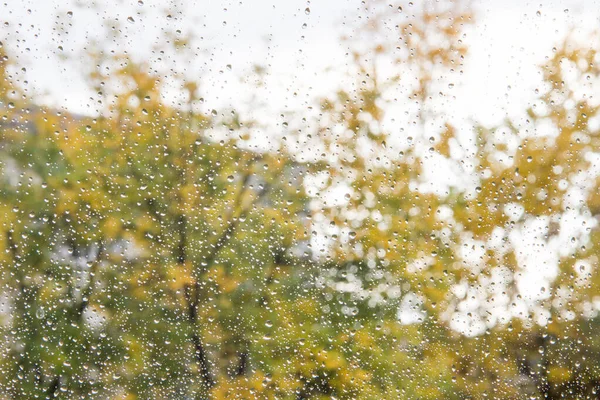 Cadute di pioggia sulla finestra autunnale dopo una forte pioggia. Giornata di sole — Foto Stock