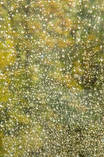 Nach starkem Regen fallen Regentropfen auf Herbstfenster. sonniger Tag — Stockfoto