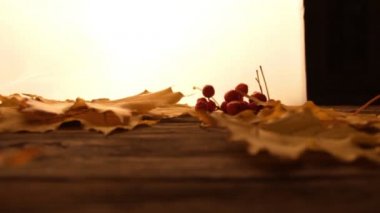 Yellow and orange fallen maple leaves with red tiny apples and ashberry on wooden table surface,white lightened background. Fall and autumn concept. Leaves falling down