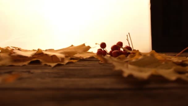 黄色和橙色的落叶枫树 红色的小苹果和覆盆子在木制桌子表面 白色宽松的背景 秋天和秋天的概念 叶子掉了下来 — 图库视频影像