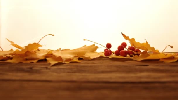 Yellow and orange fallen maple leaves with red tiny apples and ashberry on wooden table surface,white lightened background. Fall and autumn concept. Leaves falling down