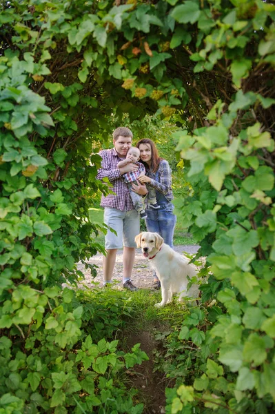 Dreiköpfige Familie mit Hund im Park, Mutter und Vater mit Kind — Stockfoto
