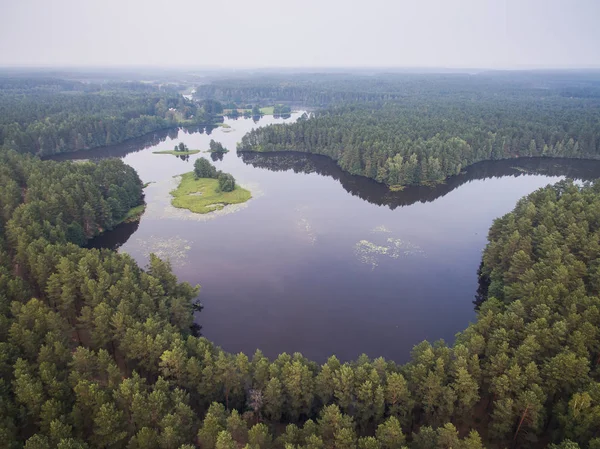 Vue aérienne sur le lac et la forêt au Bélarus — Photo