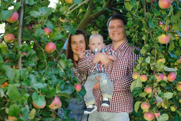 Glückliche Eltern mit Kind im Apfelgarten — Stockfoto