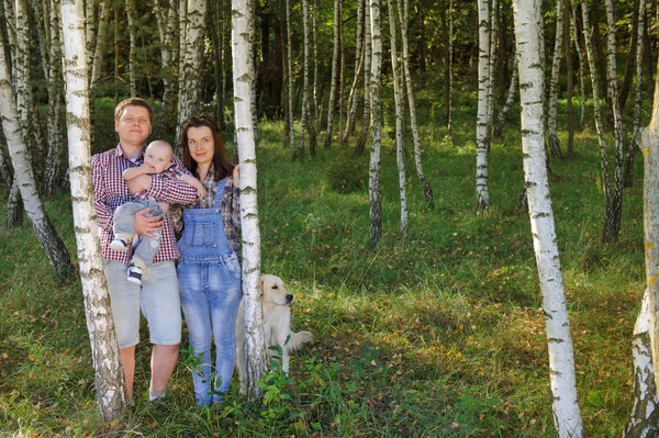 Rodina tráví čas v březové háje v létě — Stock fotografie