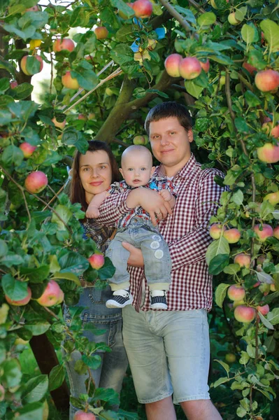 Padres felices con niño en el jardín de manzanas —  Fotos de Stock