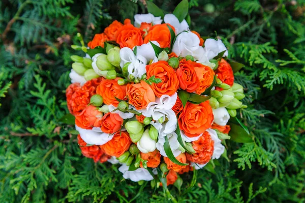 Buquê de casamento de rosas vermelhas e brancas — Fotografia de Stock