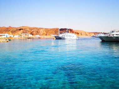 Deniz kıyısındaki Ras Mohammed (Sharm el Sheikh) yakınlarında Kızıl Deniz. Mısır 