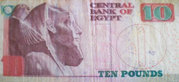 Egyptische Ponden Bankbiljetten — Stockfoto