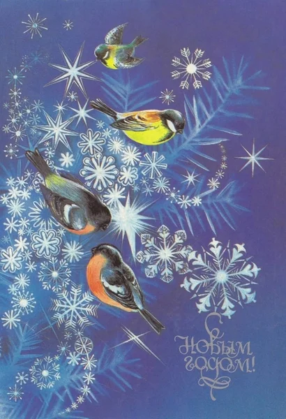 Carte Soviétique Nouvelle Année Avec Des Oiseaux — Photo