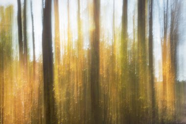 soyut sonbahar manzarası