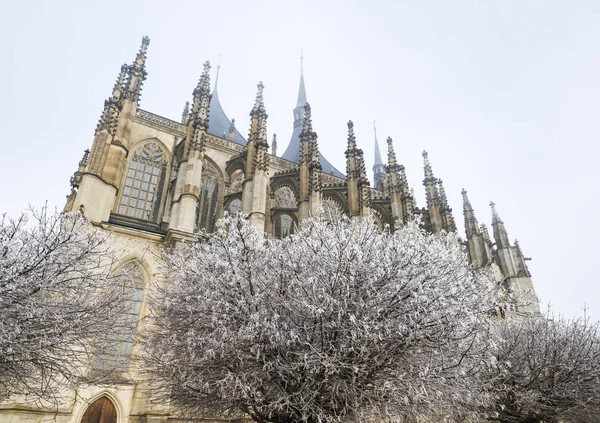 Szent Barbara-templom a, Kutná hora, Cseh Köztársaság — Stock Fotó