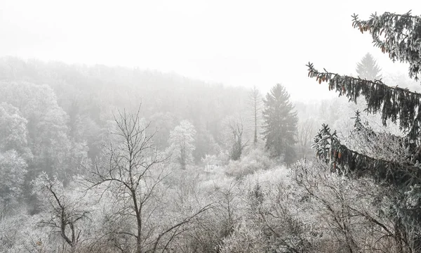 冬の森、クトナー ・ ホラ、チェコ共和国のパノラマ — ストック写真