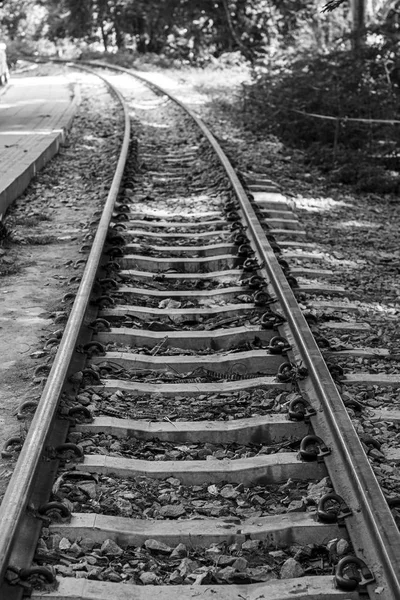 train rail transportation track line grass black white