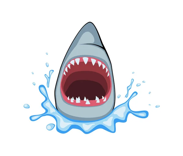 shark open mouth sharp teeth predator sea illustration