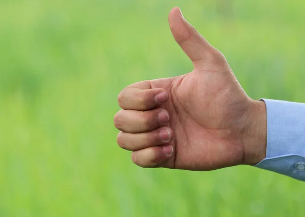 Hand in hand-a symbol — Stock Photo, Image