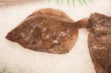 Boqueria market Barcelona, İspanya