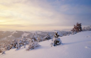 Kış günbatımı kar alan arka plan Tayga ormanı ve renkli gökyüzü altında tepeler üzerinde soğuk çam ağaçları ile dağ yamacı üzerine