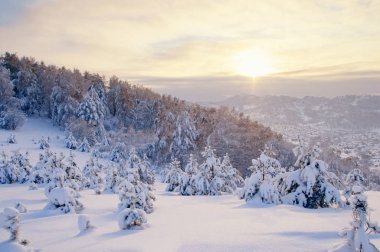 Kış günbatımı kar alan arka plan Tayga ormanı ve tepeler üzerinde dağın zirvesinde