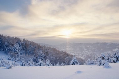 Kış günbatımı kar alan arka plan Tayga ormanı ve tepeler üzerinde dağın zirvesinde