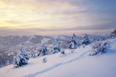 Kış günbatımı beyaz kar alan hills Vadisi renkli bulutlar Altay Dağları, Sibirya, Rusya Federasyonu altında arka plan üzerinde dağın tepesinde küçük soğuk çam ağaçları ile yol iz