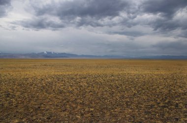 Dağ aralıkları, Altay Dağları, Sibirya, Rusya'nın arka plan üzerinde bir bulutlu gökyüzü altında sarı çim ile geniş vadi bozkır