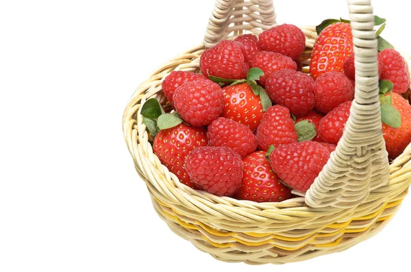 Erdbeeren und Himbeeren im Korb — Stockfoto