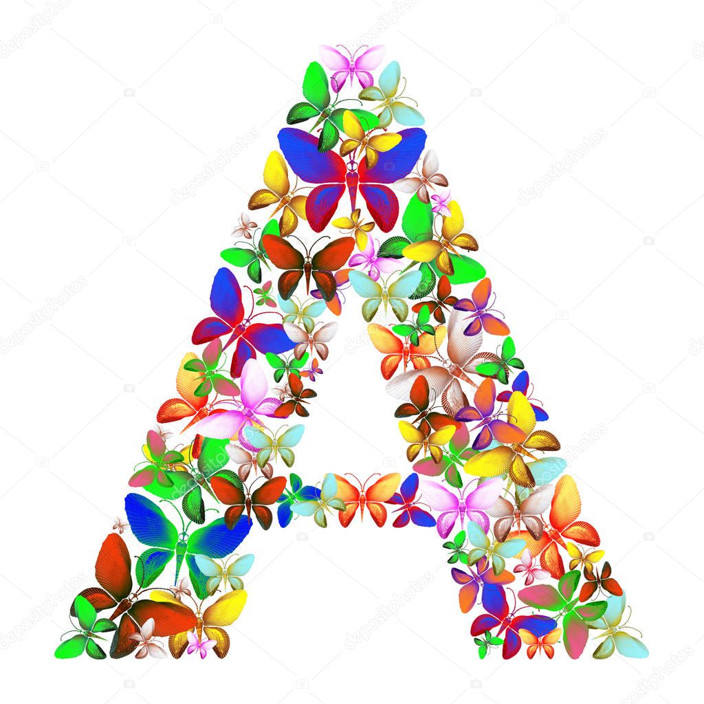 Butterflies of different colors, made of sea shells isolated on a white background stacked in the form of letters A