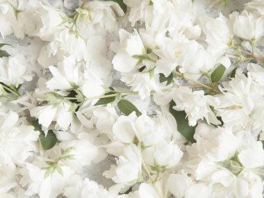 Sahte turuncu dalları gri beton zemin üzerine. 