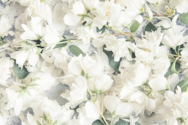 Sahte turuncu dalları gri beton zemin üzerine. 