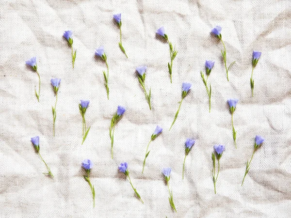 Flax flowers on natural linen cloth.